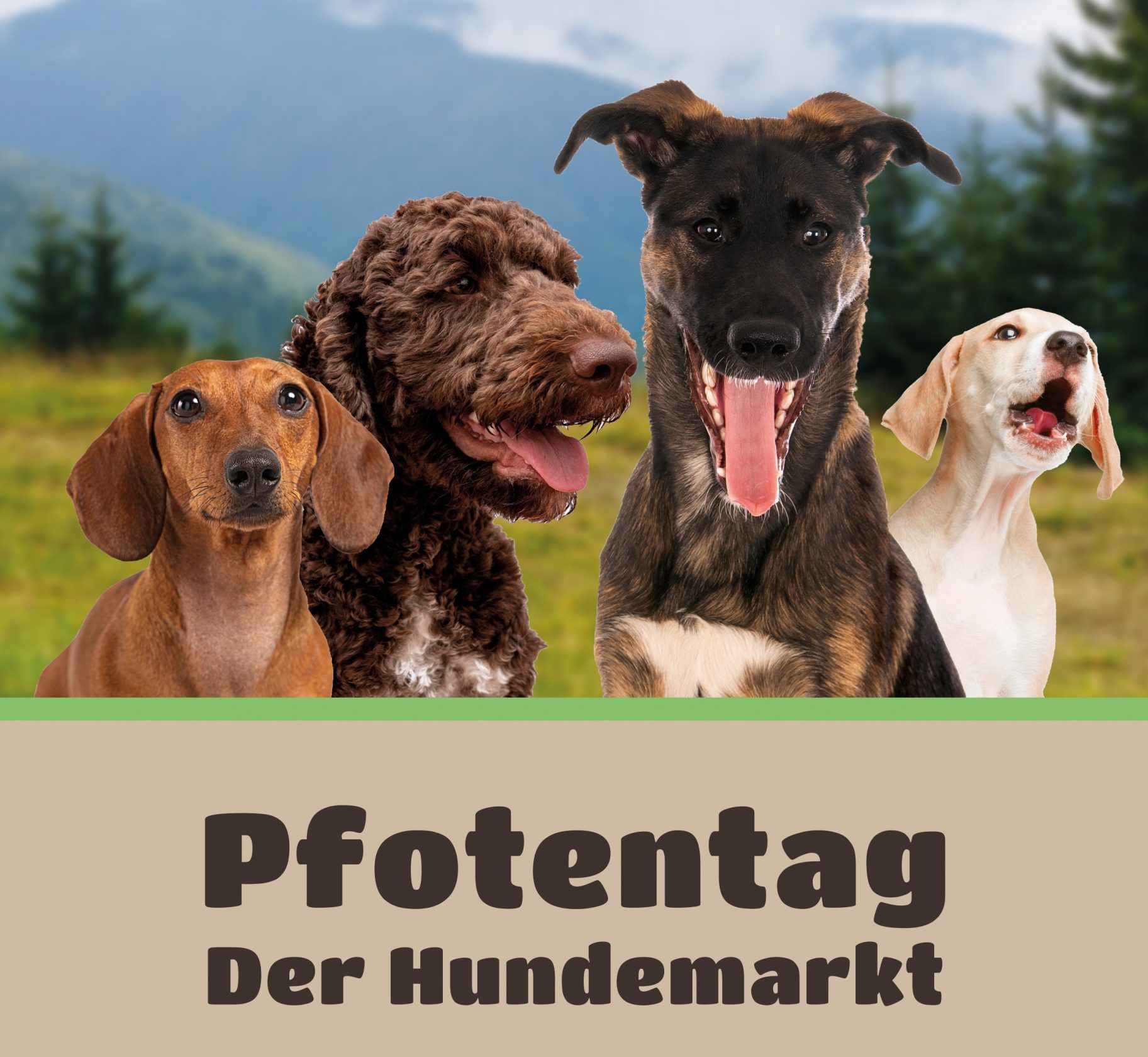 Pfotentag - der Hundemarkt im agra Messepark